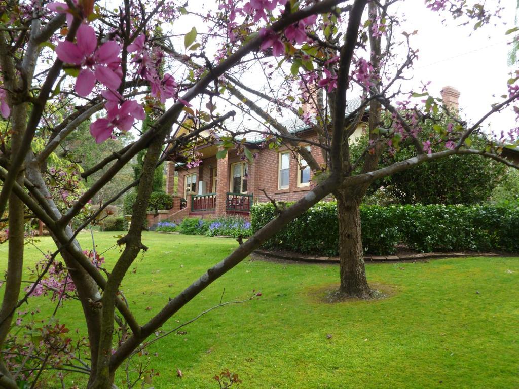 Donalea Bed And Breakfast & Riverview Apartment Castle Forbes Bay Exterior photo
