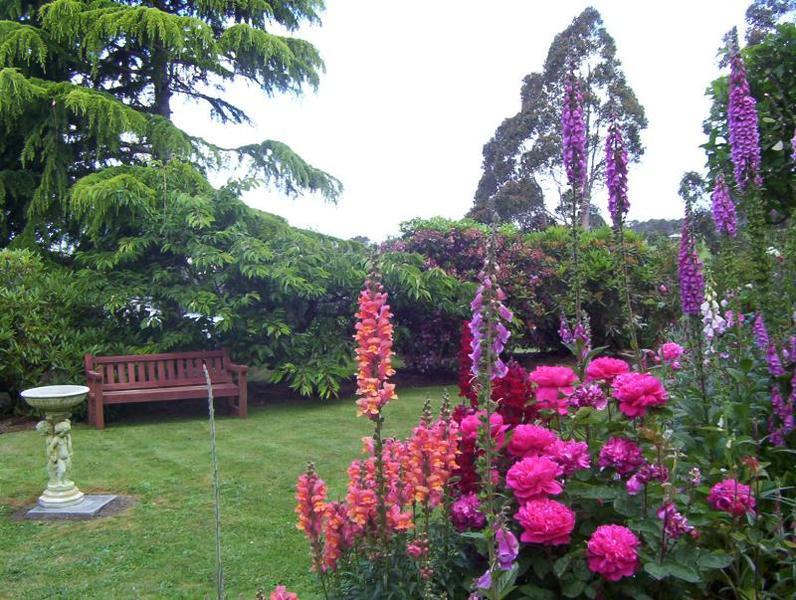 Donalea Bed And Breakfast & Riverview Apartment Castle Forbes Bay Exterior photo